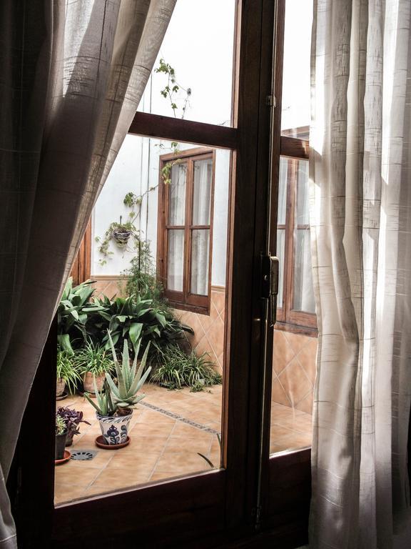 Guest house Ciudad Navarro Ramos