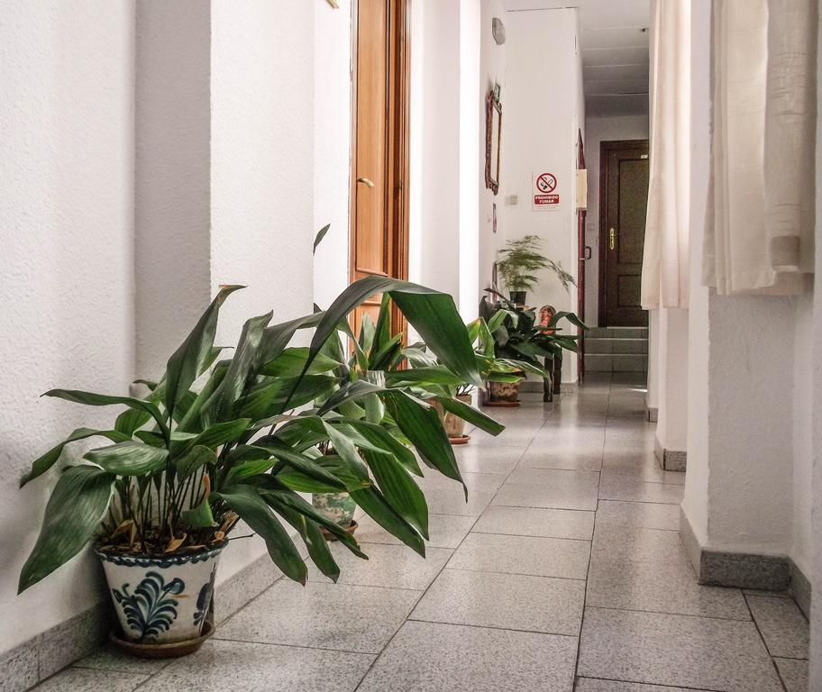 Ciudad Navarro Ramos Guest house *